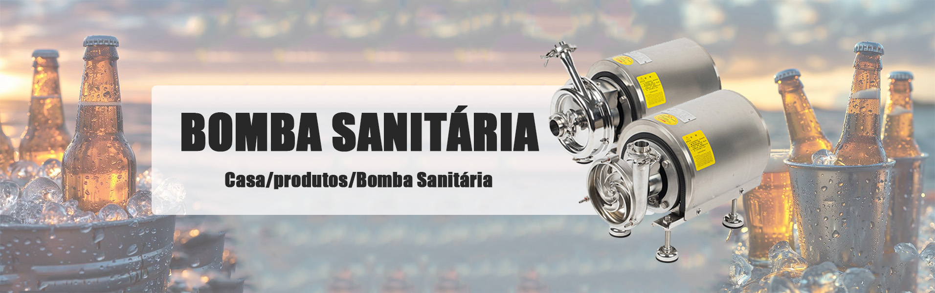 Bomba de lóbulos rotativos sanitários